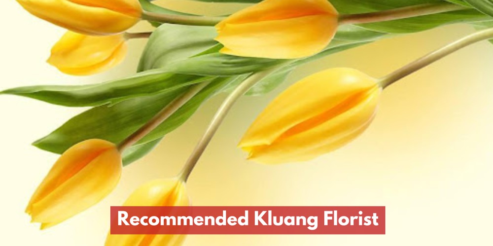 Recommended Kluang Florist